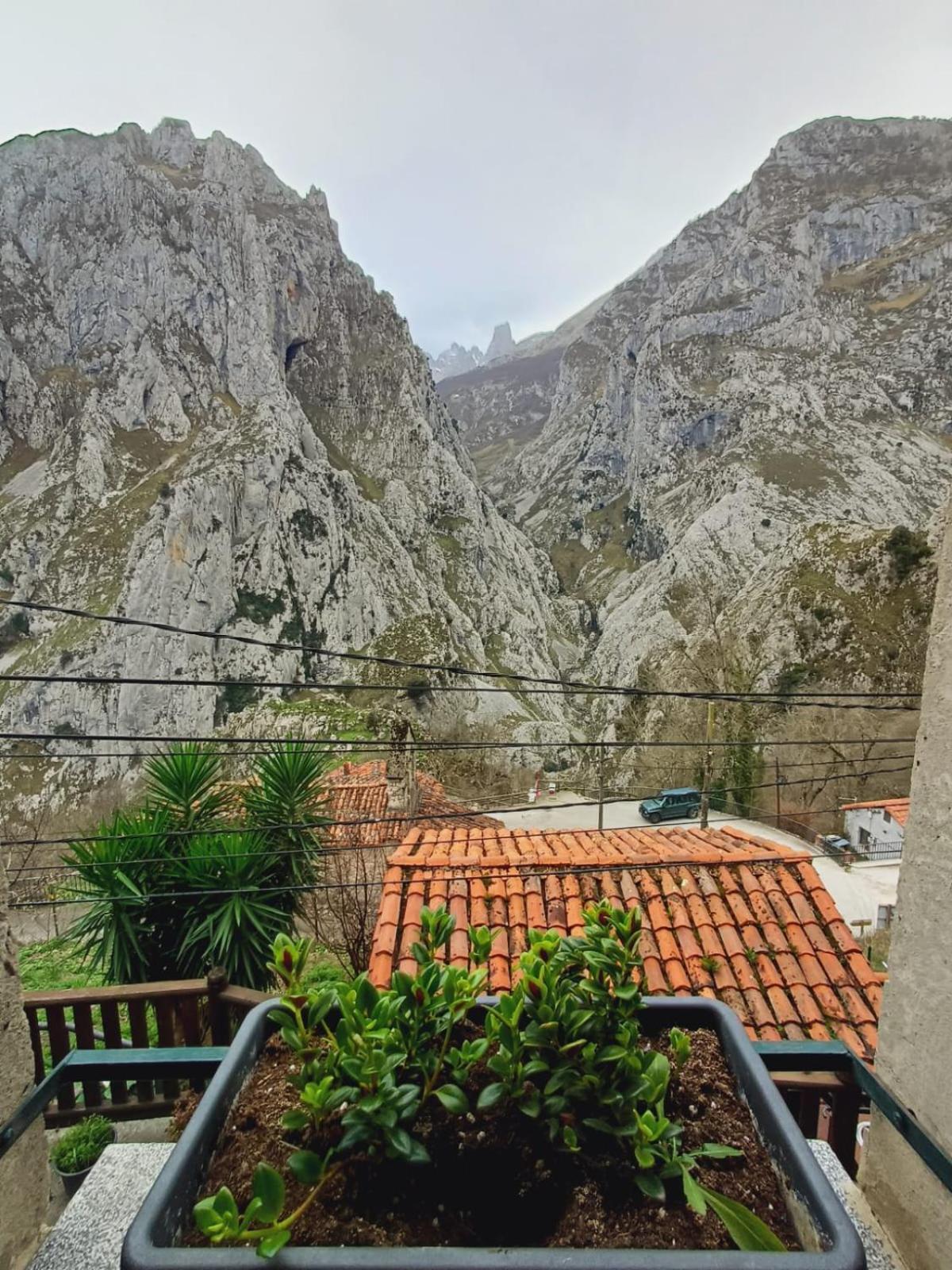 El Portal Del Abuelo Apartment Arenas De Cabrales Ngoại thất bức ảnh